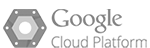 Google Cloud icon